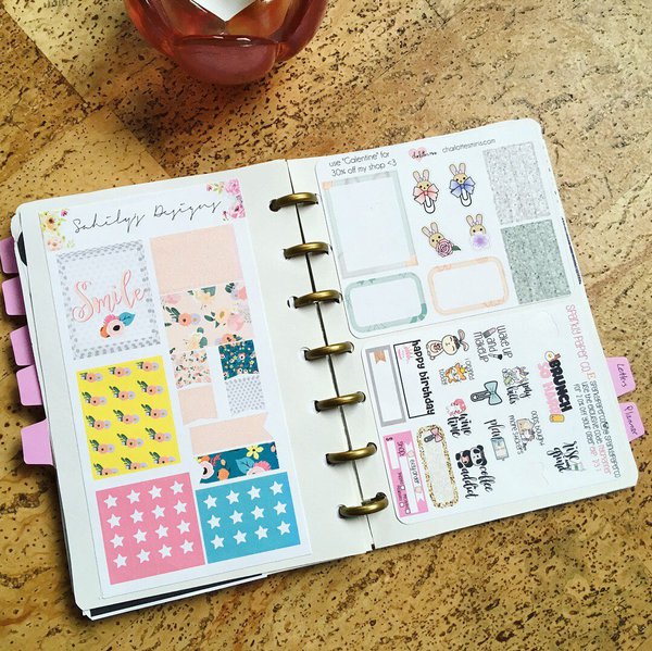 NEW BLANK STICKER BOOK + Tutorial (How to organize stickers