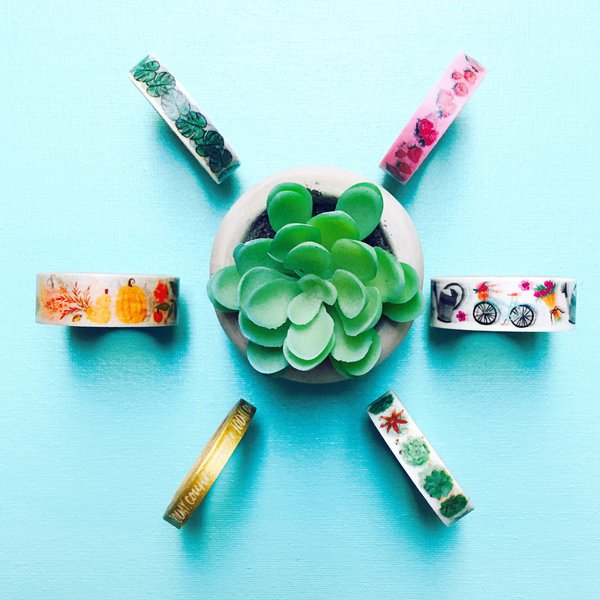 Washi tapes place around fake succulent plant